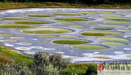 絕美奇觀：加拿大神秘斑點湖(組圖)