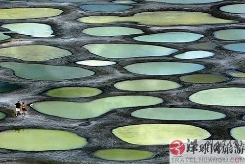 絕美奇觀:加拿大神秘斑點湖(組圖)