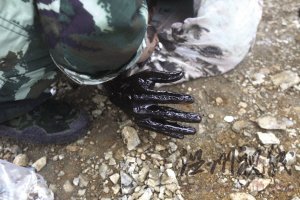 浙江籍攝影師鏡頭里的戰士之死(組圖)
