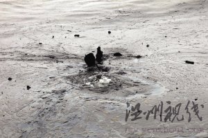 浙江籍攝影師鏡頭里的戰士之死(組圖)