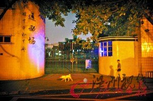兩中學生校門口被十多名壯漢劫走疑犯提前踩點