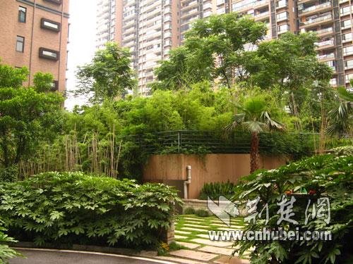 高檔小區(qū)剛建5年被迫拆遷原地復(fù)建給地鐵讓路