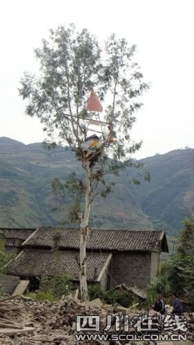樹枝上掛著一個喇叭，陳茂國每天高聲放著喇叭給村民“宣講”政策