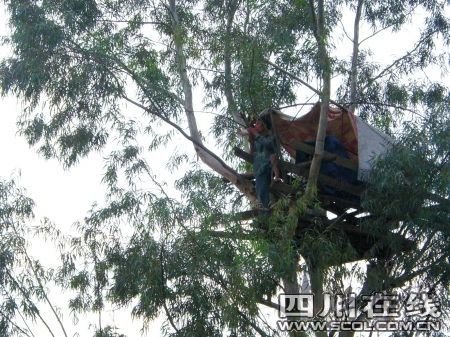 生活：陳茂國每天吃喝拉撒全在樹上解決，并用塑料袋裝好放到地上處理