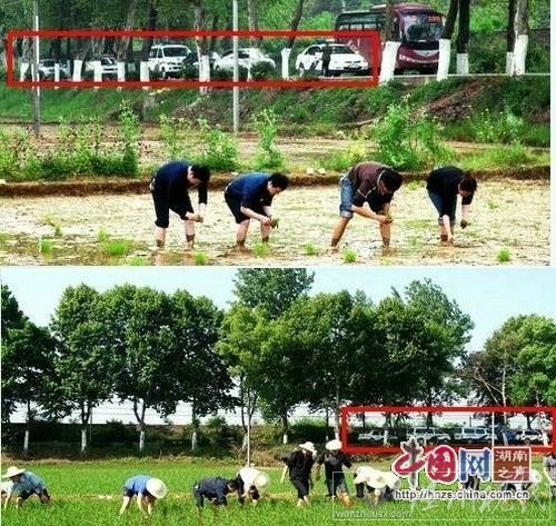 湖南衡陽法官上班時間開警車種田被指作秀(圖)