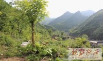 揭開“中華養生保健