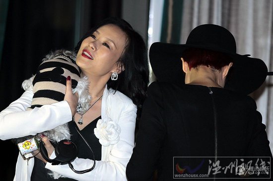 蔣雯麗挑戰(zhàn)“騷包”剩女 穿喪服大鬧婚禮 (2)