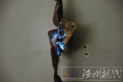 豬肉半夜發藍光