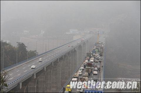 貴州現(xiàn)入冬范圍最大凍雨 樹葉電線結(jié)冰（組圖）
