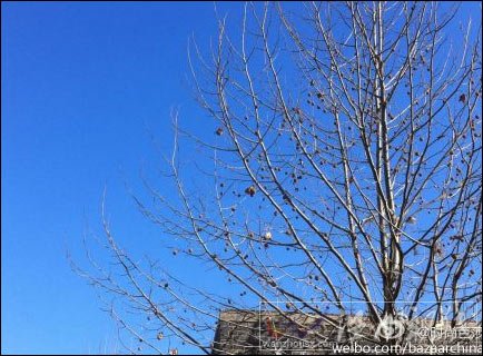 北京天空湛藍(lán)22日空氣質(zhì)量達(dá)優(yōu) 未來(lái)幾天晴天為主
