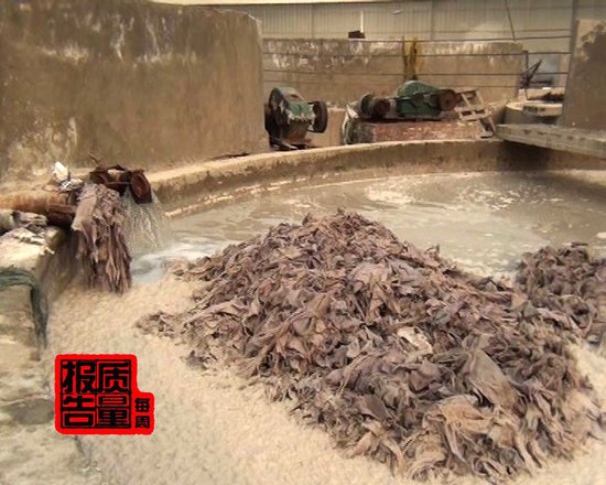 央視調查發現廠商用皮革下腳料造藥用膠囊(圖)