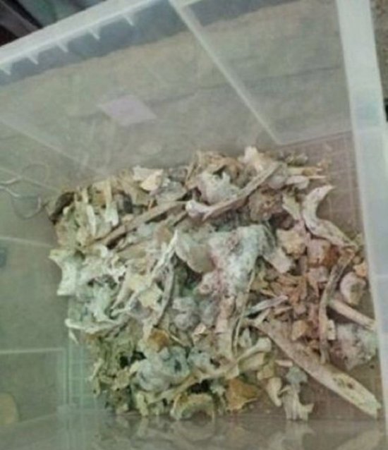 本煥長老七彩舍利