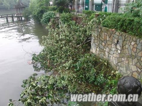 強(qiáng)降雨導(dǎo)致杭州河堤坍塌