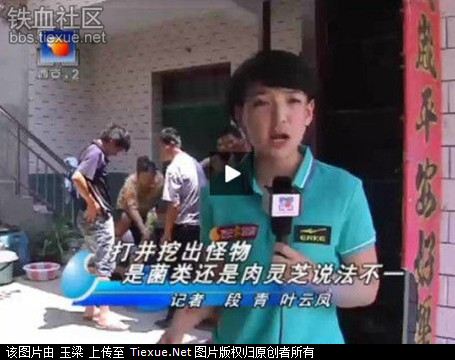 女記者誤將自慰器認作肉靈芝