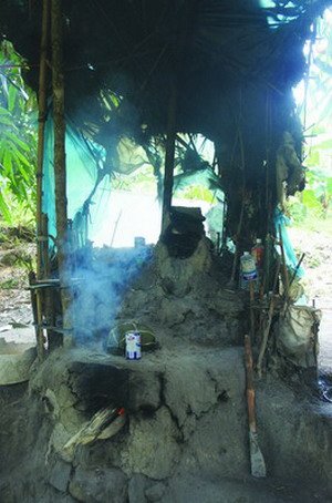福建南靖“野人”獨(dú)居樹上12年 4塊木板做床鋪