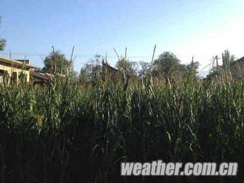甘肅省武山遭遇強雷陣雨冰雹襲擊 多個鄉(xiāng)鎮(zhèn)受災