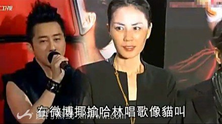 王菲微博調(diào)侃哈林唱歌象貓叫