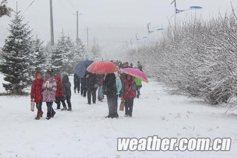 內蒙古大雪 內蒙古阿爾山地區(qū)昨日迎來入秋以來最大降雪