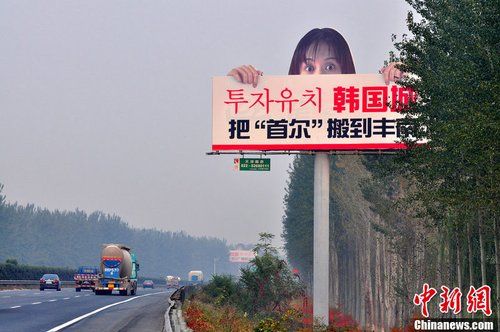 高速路驚現
