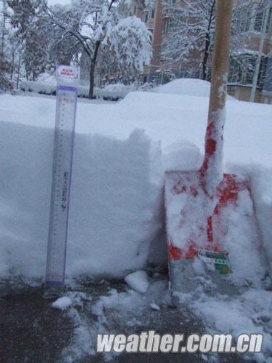 北京大雪 11月4日北京多地下大雪延慶佛爺頂降雪量最大51毫米