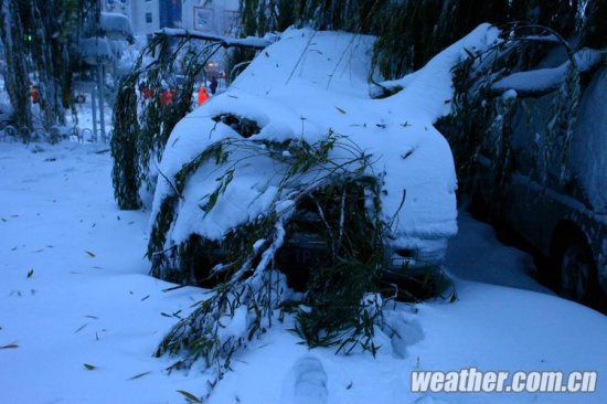 北京大雪 11月4日北京多地下大雪延慶佛爺頂降雪量最大51毫米