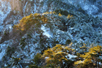 安徽黃山風景區雪霽初晴