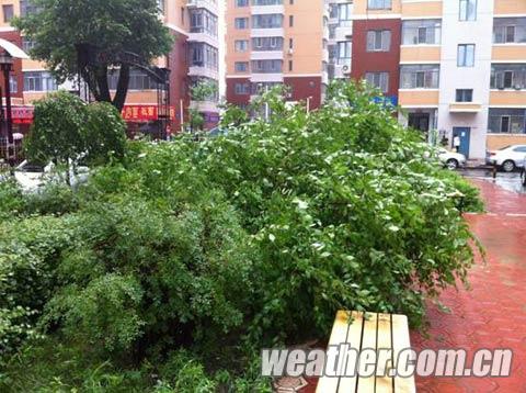 入夏最強(qiáng)降水襲黑龍江 哈爾濱連下8天雨部分學(xué)校停課