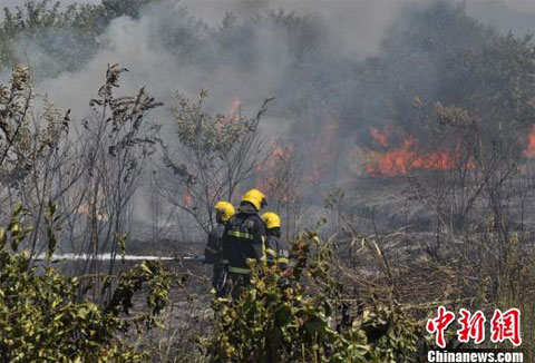杭州火災(zāi)事故 8月8日上午杭州桐廬縣森林起火