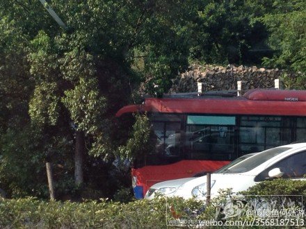 301公交車塞巴瓦撞樹(shù)上