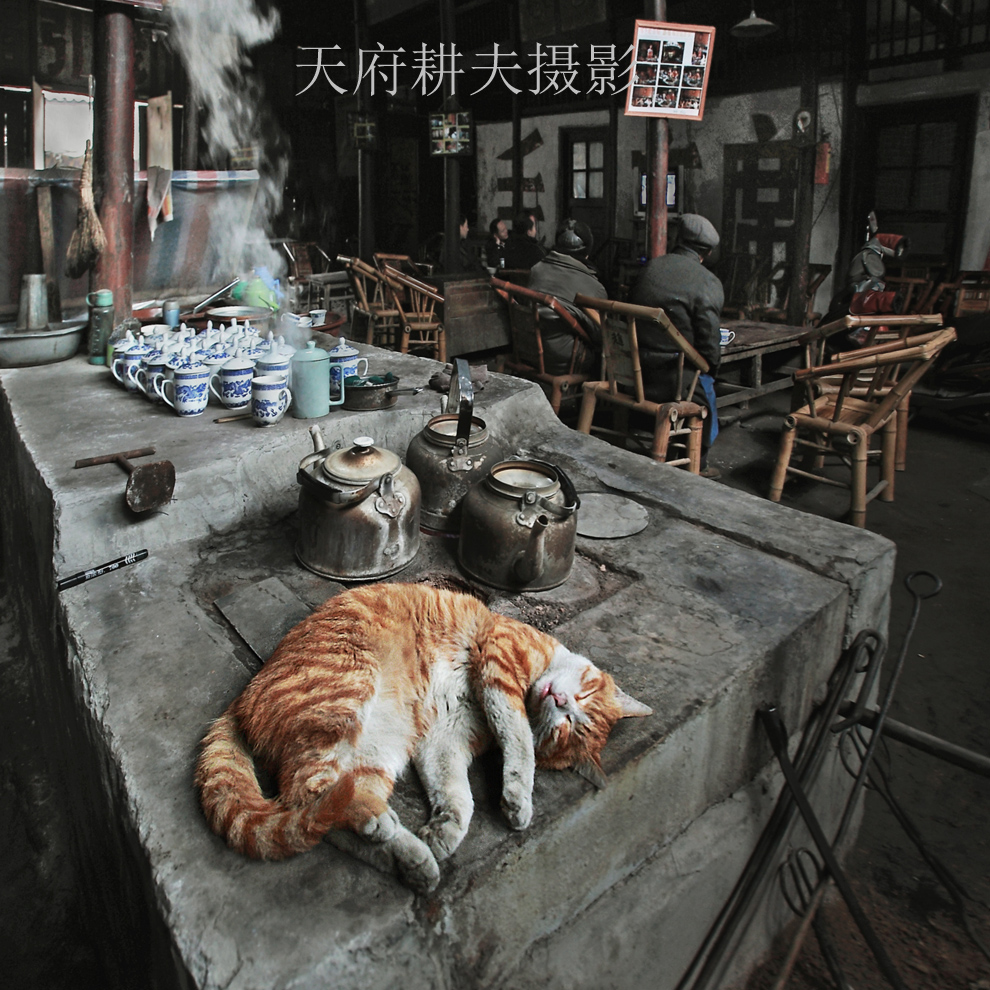 23屆國展優(yōu)秀獎，中國攝影家協(xié)會舉辦的首屆國際網(wǎng)絡(luò)大賽銅獎《冬日茶館》