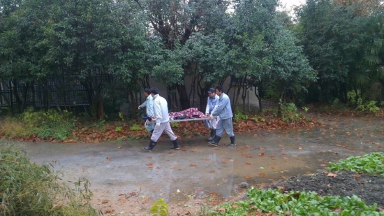 飼養(yǎng)員被華南虎咬死