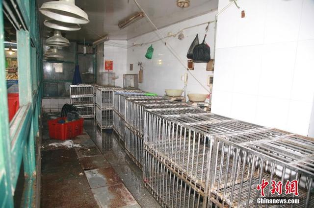 浙江感染h7n9病例2014年已有12人死亡，發現浙江h7n9人傳人病例