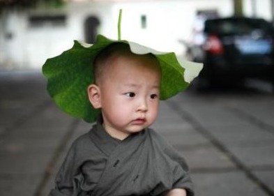 西禪寺小和尚