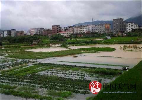 福建2014年臺(tái)風(fēng)