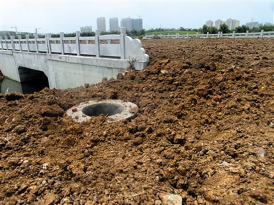 泗洪縣在馬路蓋土種黃豆被曝光