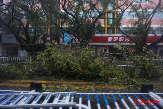 威馬遜臺(tái)風(fēng)經(jīng)過(guò)廣西留下一片狼藉