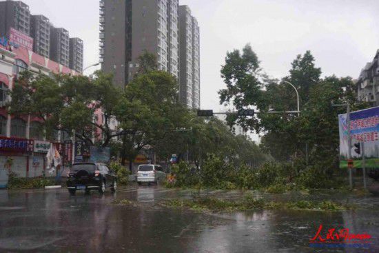 威馬遜臺(tái)風(fēng)經(jīng)過(guò)廣西留下一片狼藉
