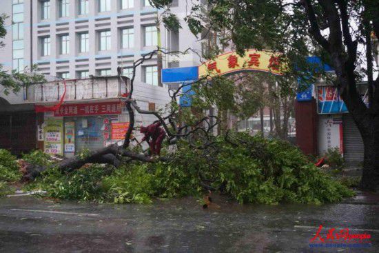 威馬遜臺(tái)風(fēng)經(jīng)過(guò)廣西留下一片狼藉