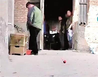 6歲男童撿棒棒糖吃毒鼠強中毒身亡
