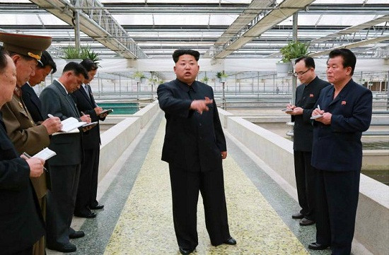 金正恩發(fā)飆