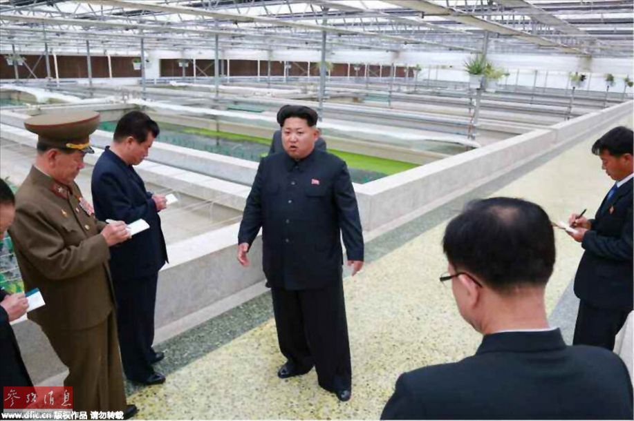 金正恩發(fā)飆