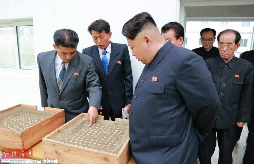 金正恩發(fā)飆