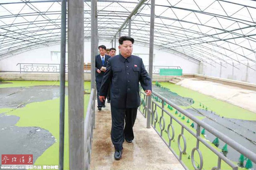 金正恩發(fā)飆