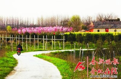 合肥最美鄉(xiāng)村公路