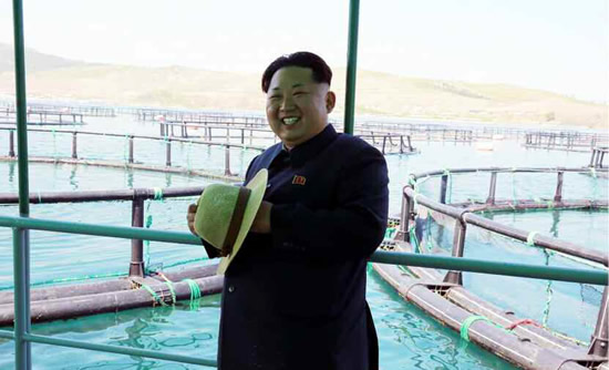 金正恩視察養(yǎng)魚場