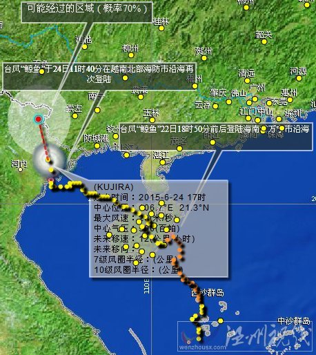 臺風鯨魚路徑