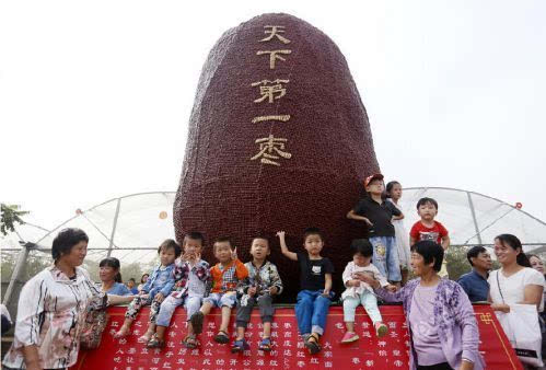 鄭州現(xiàn)天下第一棗