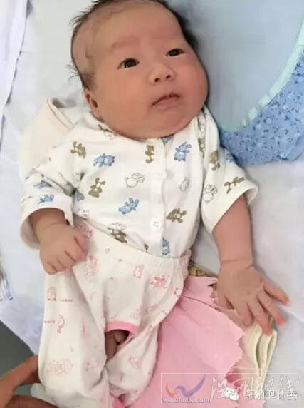深圳最美護士李寶霞