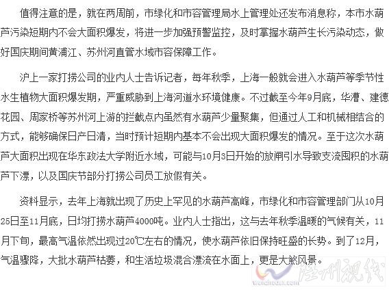 蘇州河道現大量水葫蘆