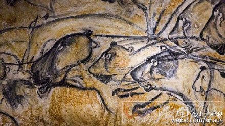 西伯利亞發現古代獅子尸體